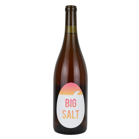 Big Salt 'Orange Rose' 2025