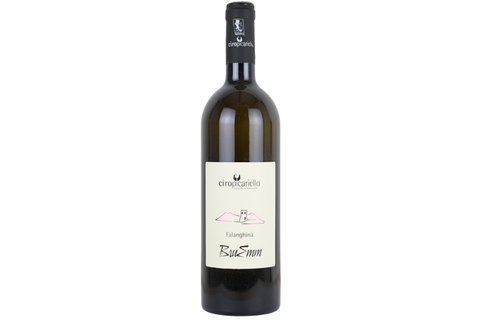 Ciro Picariello Falanghina 2024