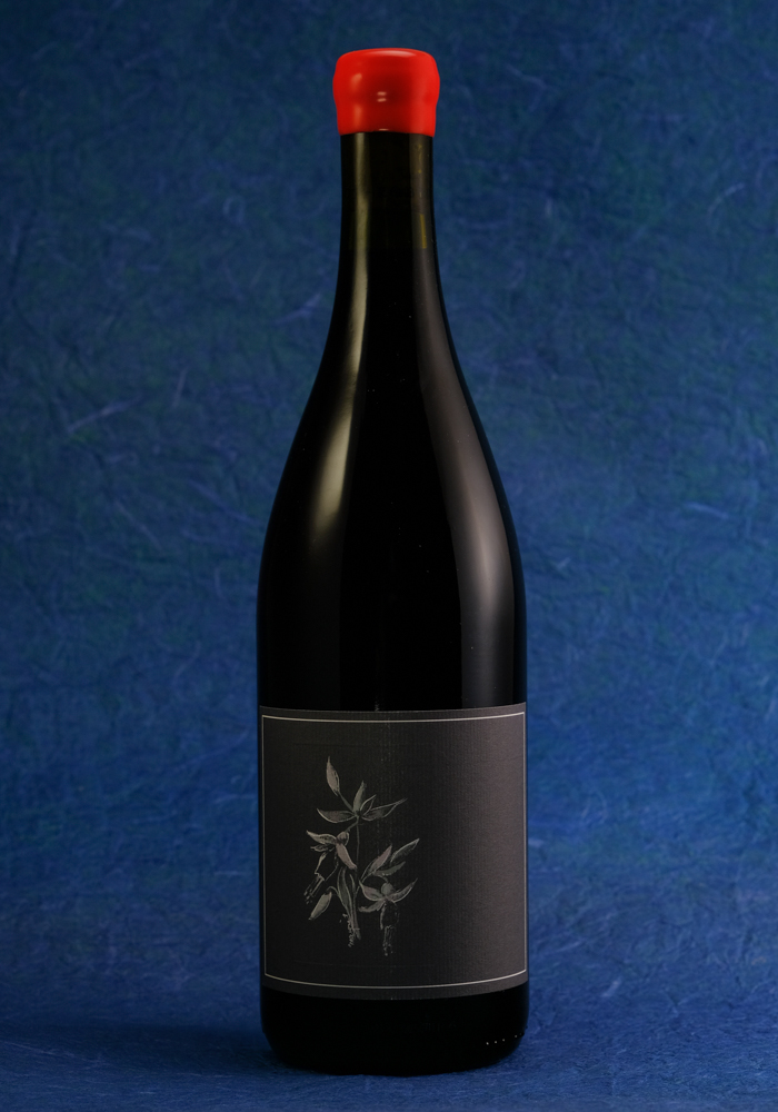 Arnot Roberts 2021 Trousseau/ Pinot Noir  