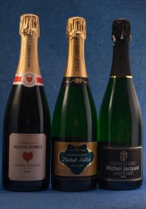 Holiday Champagne Six Pack Gift Box