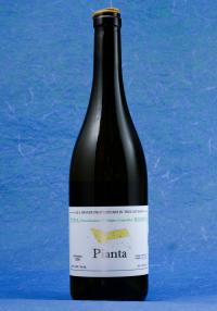 Ciro Biondi "Pianta" 2020 Etna Bianco