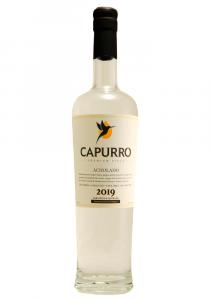 Capurro Acholado 2019 Pisco